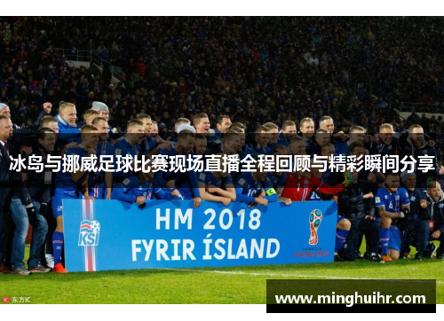 冰岛与挪威足球比赛现场直播全程回顾与精彩瞬间分享